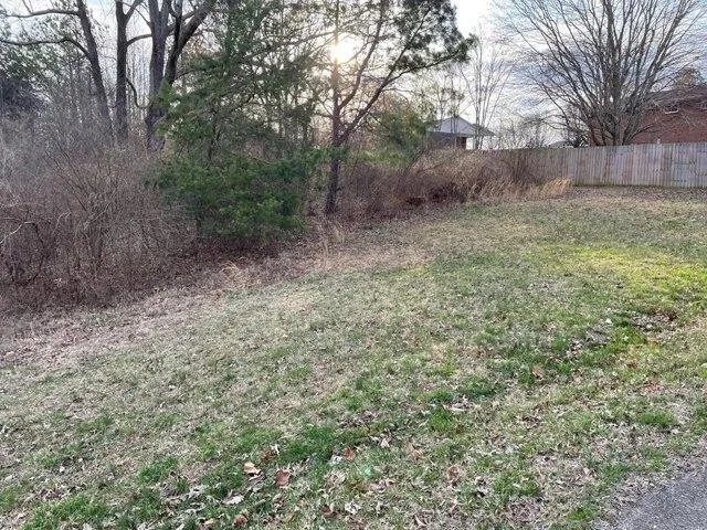 Plot For Sale In Paris, Tennessee