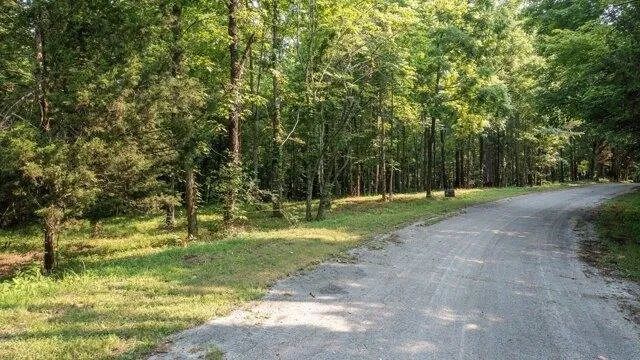Plot For Sale In Silver Point, Tennessee