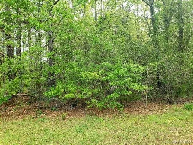 Plot For Sale In Greenville, Alabama