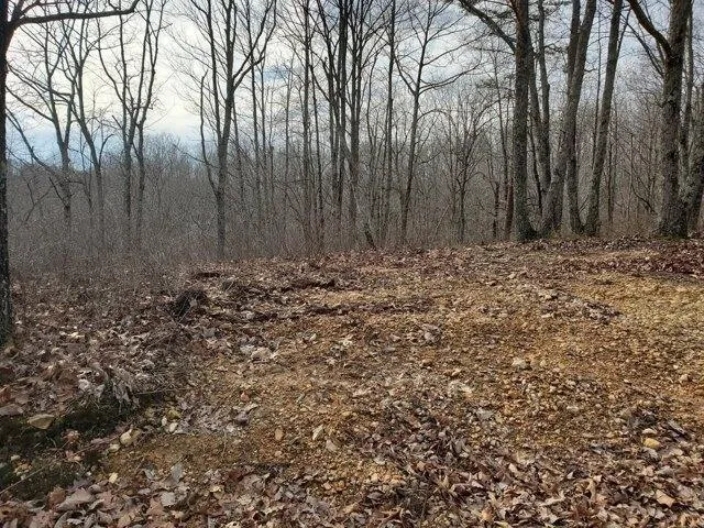 Plot For Sale In Waverly, Tennessee