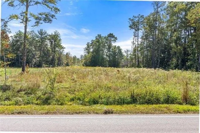 Plot For Sale In Theodore, Alabama