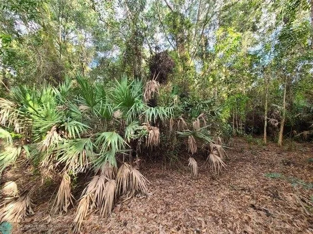 Plot For Sale In Jupiter, Florida
