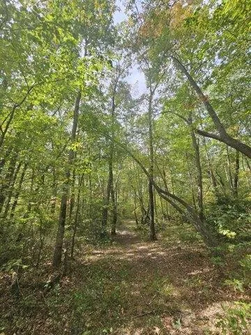 Plot For Sale In Tracy City, Tennessee