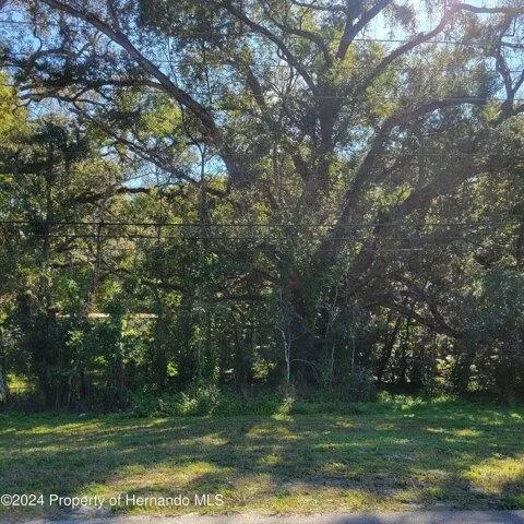 Plot For Sale In Brooksville, Florida