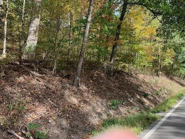 Plot For Sale In Laurelville, Ohio
