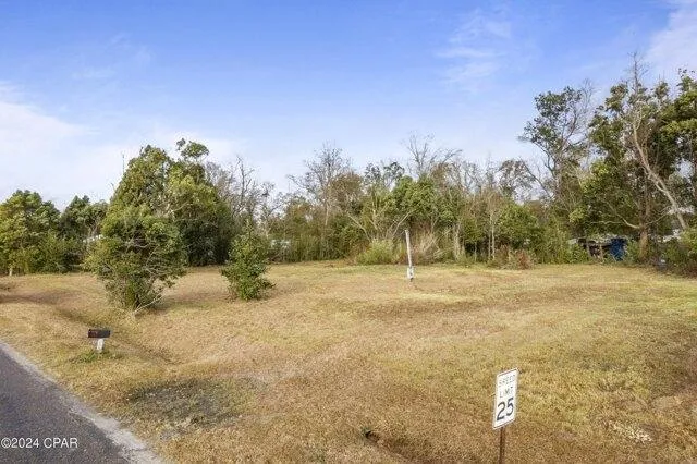 Plot For Sale In Wewahitchka, Florida