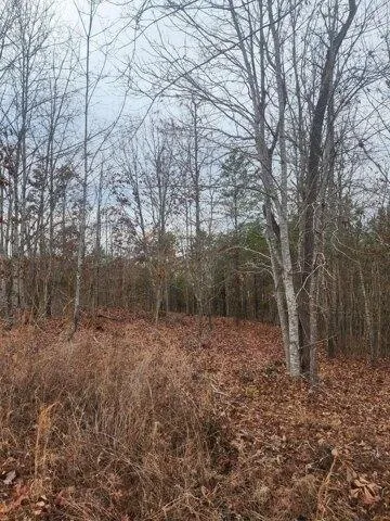 Plot For Sale In Ten Mile, Tennessee