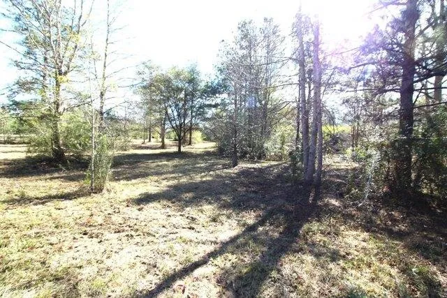 Plot For Sale In Poplarville, Mississippi