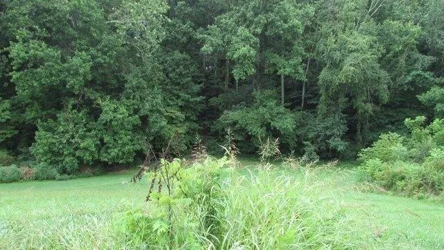 Plot For Sale In Jonesborough, Tennessee