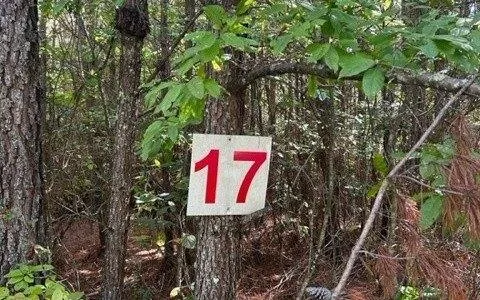Plot For Sale In Turtletown, Tennessee