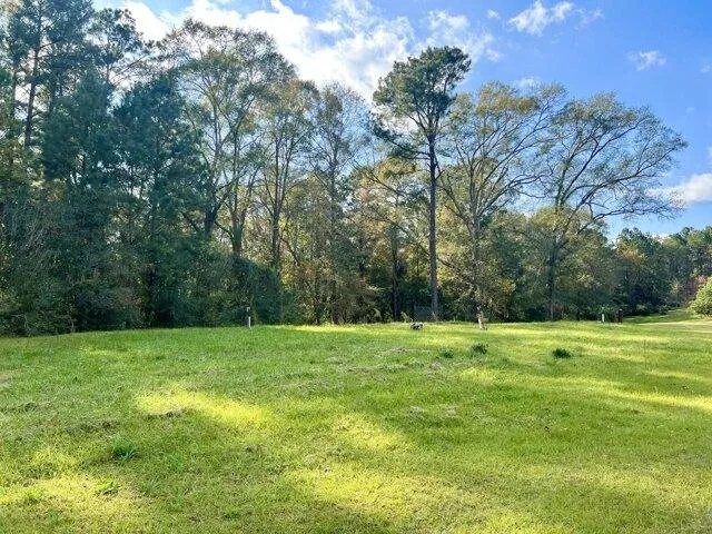 Plot For Sale In Sumrall, Mississippi