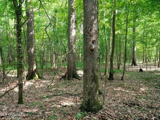 Plot For Sale In Hermanville, Mississippi