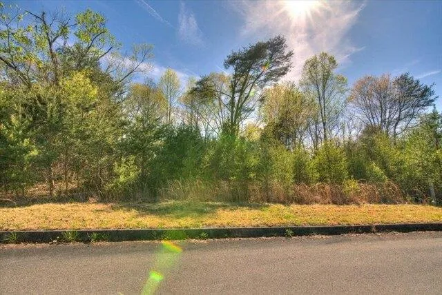 Plot For Sale In Mount Carmel, Tennessee