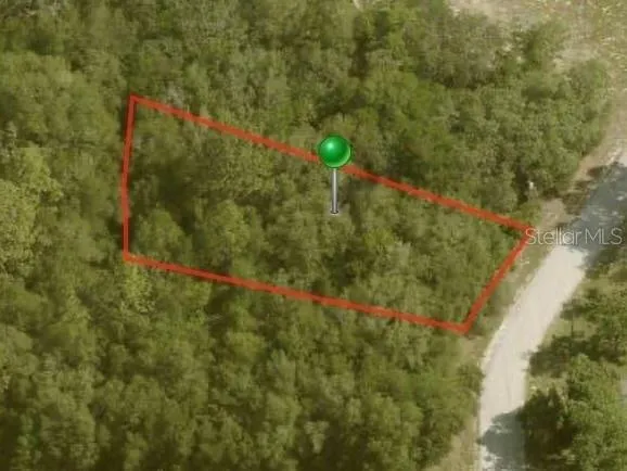Plot For Sale In Citrus Springs, Florida