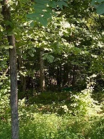 Plot For Sale In Nancy, Kentucky
