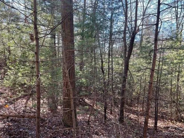 Plot For Sale In Zirconia, North Carolina