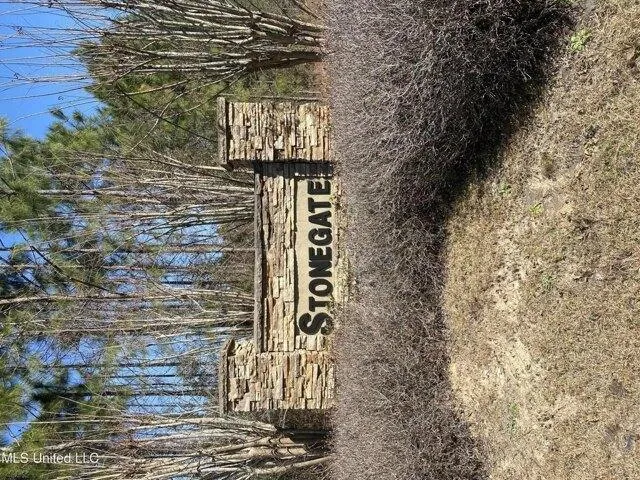 Plot For Sale In Perkinston, Mississippi