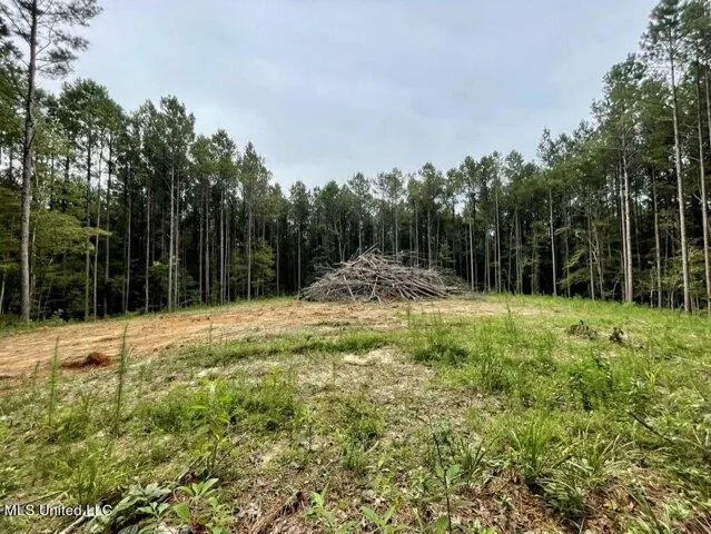 Plot For Sale In Brandon, Mississippi