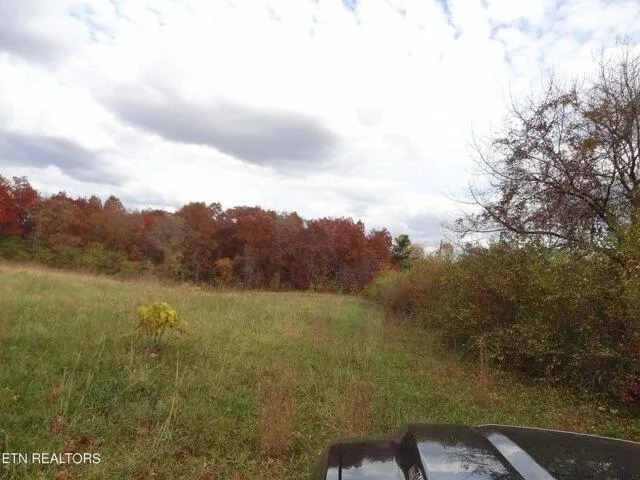 Plot For Sale In Crossville, Tennessee