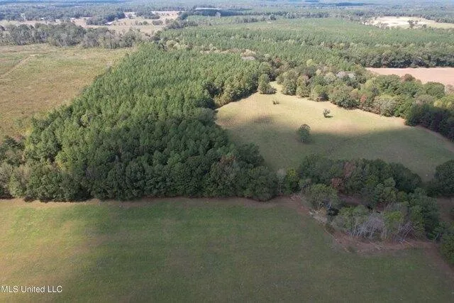 Plot For Sale In Pelahatchie, Mississippi