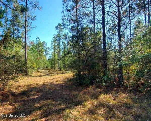 Plot For Sale In Saucier, Mississippi