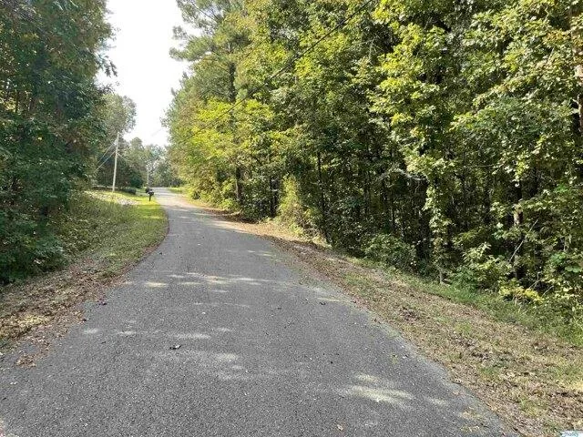 Plot For Sale In Southside, Alabama