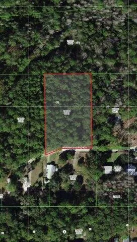 Plot For Sale In Crystal River, Florida