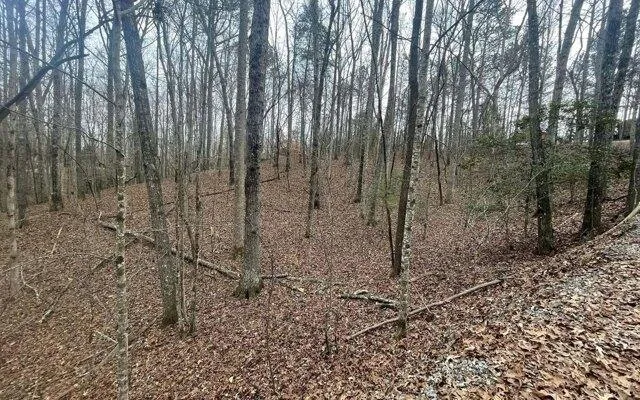 Plot For Sale In Ellijay, Georgia