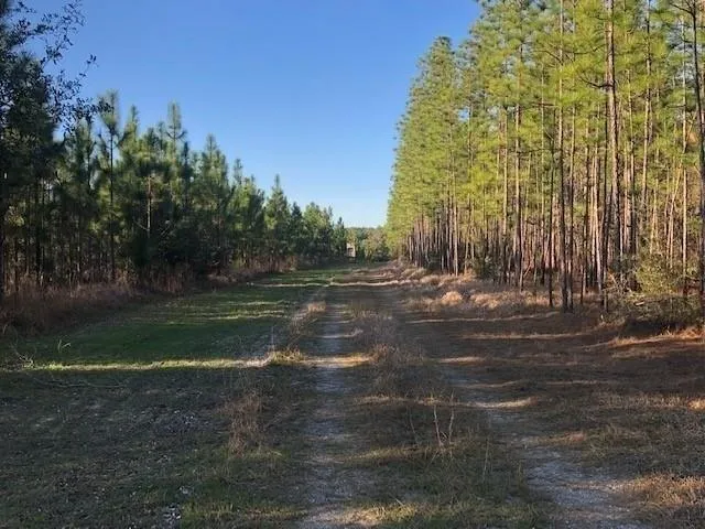 Plot For Sale In Saraland, Alabama
