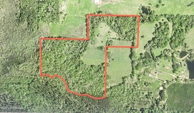 Plot For Sale In Union, Mississippi