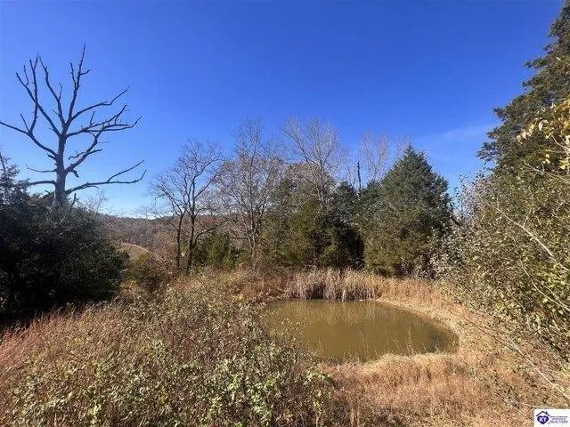 Plot For Sale In New Hope, Kentucky