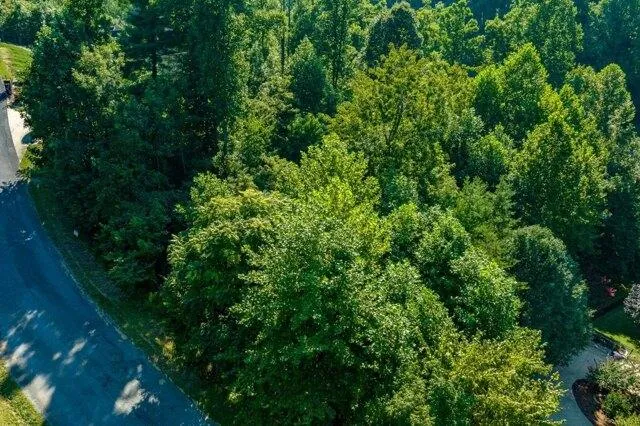 Plot For Sale In Unicoi, Tennessee
