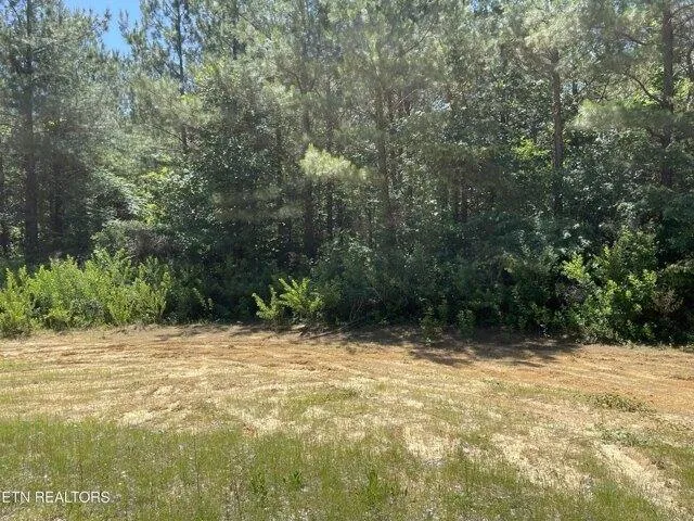 Plot For Sale In Robbins, Tennessee