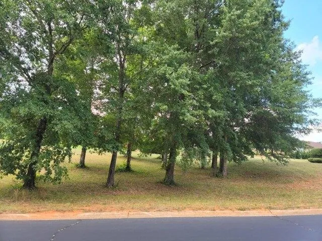 Plot For Sale In Chesnee, South Carolina