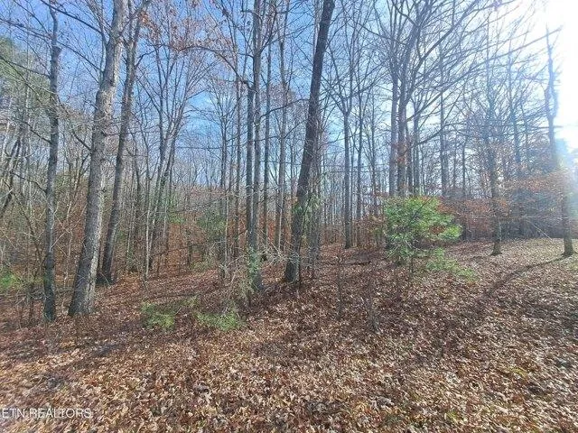 Plot For Sale In Oneida, Tennessee