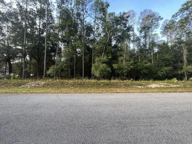 Plot For Sale In Dunnellon, Florida