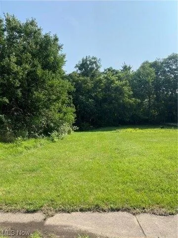 Plot For Sale In Youngstown, Ohio