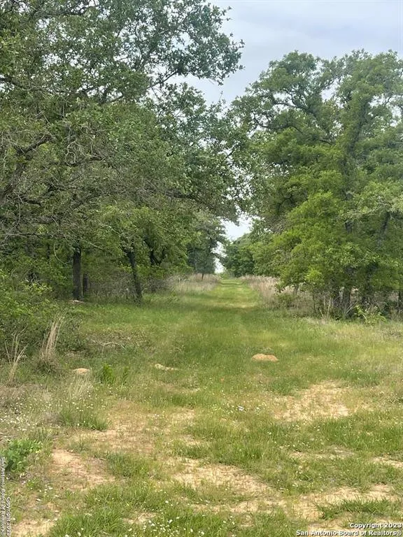 TBD CR 427, Stockdale, TX 78160 for Sale