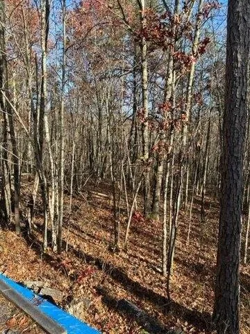 Plot For Sale In Wilder, Tennessee