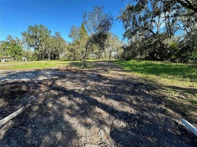 Plot For Sale In Lithia, Florida