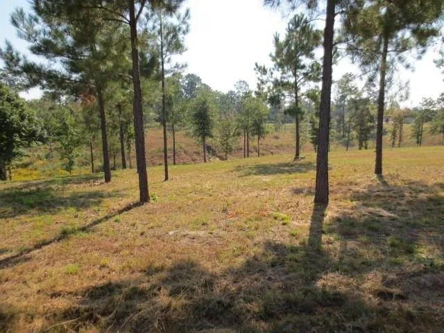 Plot For Sale In Ellisville, Mississippi