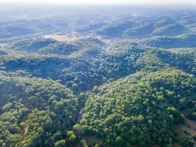 Plot For Sale In Goodlettsville, Tennessee