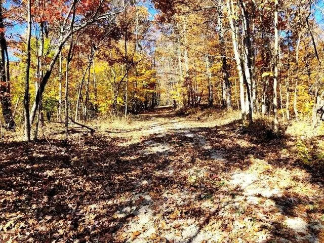 Plot For Sale In Chandlersville, Ohio