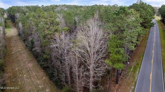 Plot For Sale In Sumrall, Mississippi