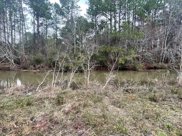 Plot For Sale In Cordele, Georgia