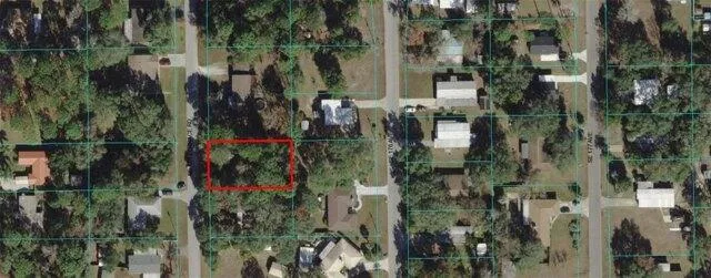 Plot For Sale In Silver Springs, Florida