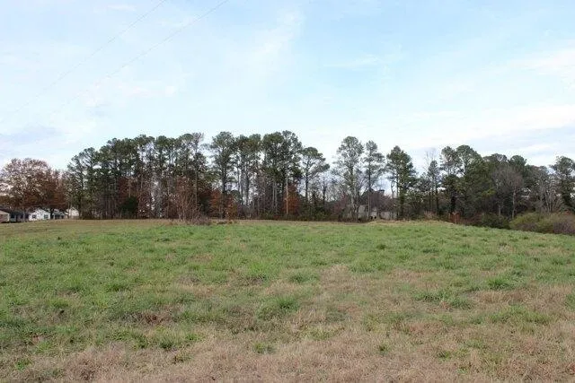 Plot For Sale In Cullman, Alabama