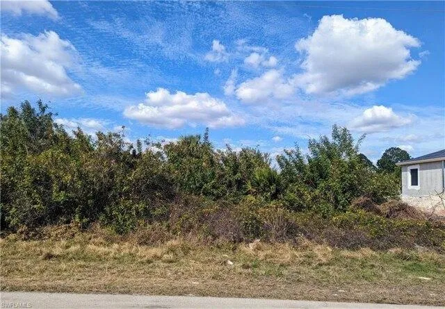 Plot For Sale In Lehigh Acres, Florida