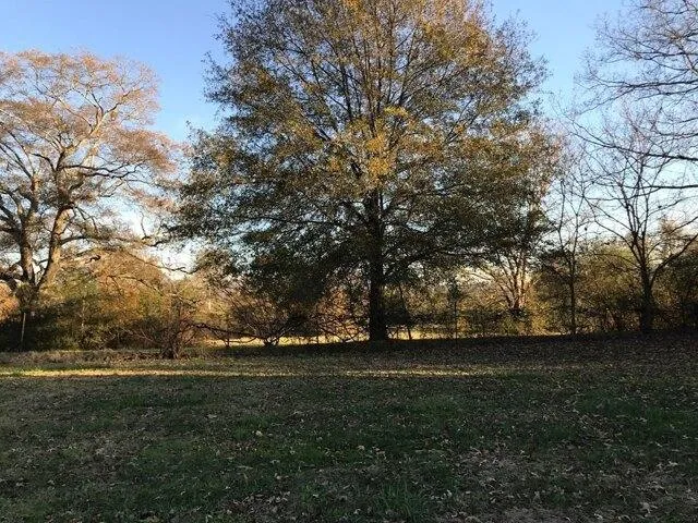 Plot For Sale In Benton, Tennessee