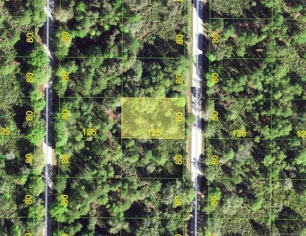 Plot For Sale In Port Charlotte, Florida